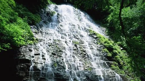 高性能智能高端